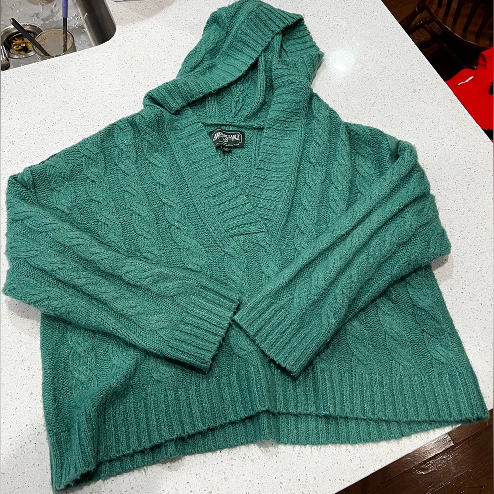 American Eagle Sweater with hood